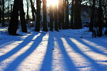 background of fresh white snow winter outdoor with stripes of shadows from trees