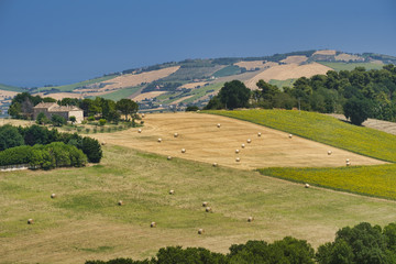 Obraz premium Landscape near Sant'Elpidio a Mare (Marches, italy)