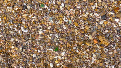 Viele kleine Muscheln, Steinchen, Glasscherben, texturiert, Hintergrund,Nahaufnahme,formatfüllend
Kieselstrand in Andalusien, 
