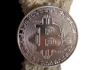 Golden Bitcoin Close Up High Quality