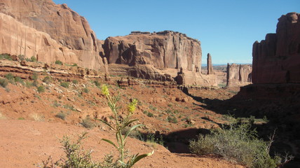 parc national des arches