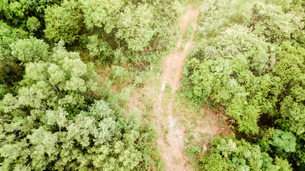 Obraz premium Top view from the drone to the forest.