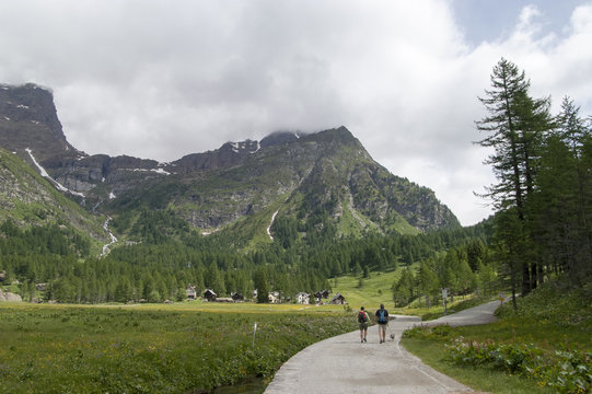 Alpe devero