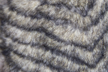 Grey faux fur texture for background