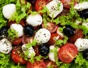 salad with mozarella cheese and vegetables