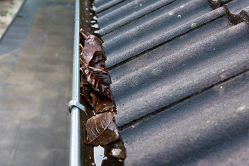 Gutter blocked by leaves 