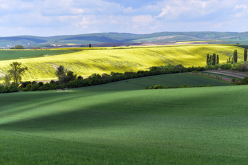 Moravian rolling fields landscape, South Moravia, Czech Republic