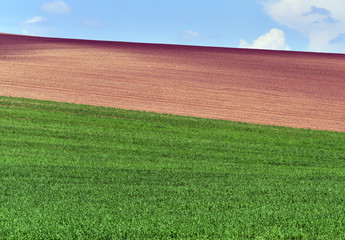 Moravian rolling fields landscape, South Moravia, Czech Republic