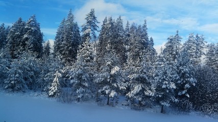 Winter makes fabulous views. so that you can look more and more, this beauty must be kept in your memory.