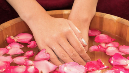Obraz na płótnie Canvas Close up of a female hands with bowl of aroma spa water and pink rose petal.