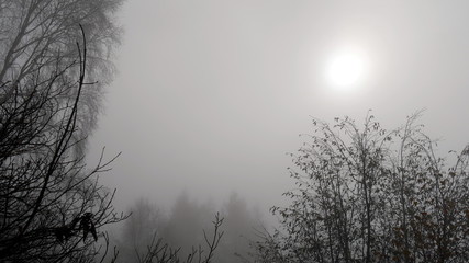 Sole attraverso la nebbia