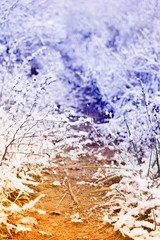 Winter landscape with ice, snow and winding path, retro toned