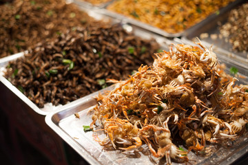 Fried crab in Tray on night market from Thailand it's snack menu delicious for party or for Opportunities etc.