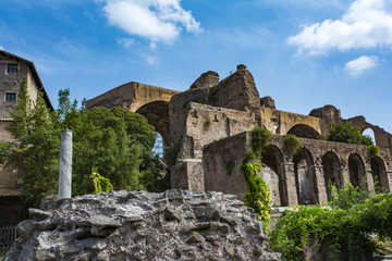 The Basilica of Constantine and Maxentius in the Roman Forum