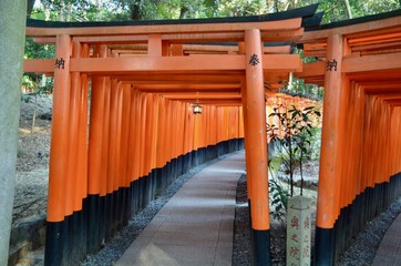 Fototapeta na wymiar 日本 京都 伏見稲荷大社 千本鳥居 Japan Kyoto Fushimi Inari Taisha Torii