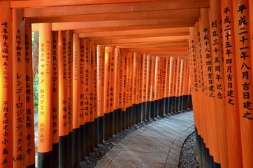 日本 京都 伏見稲荷大社 千本鳥居 Japan Kyoto Fushimi Inari Taisha Torii