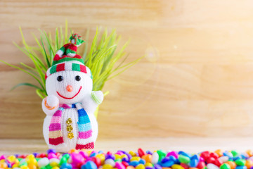 smiling snowman with plant on the wood background