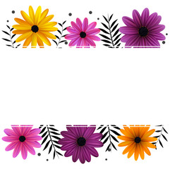 Flowers. Daisies. Floral background. Vector illustration. Purple. Pink. Border. Frame. Card.