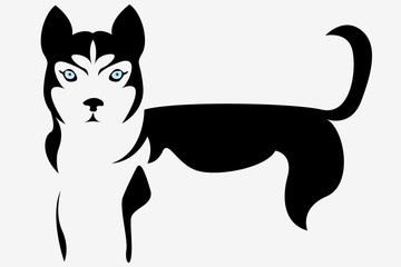 Husky,vector