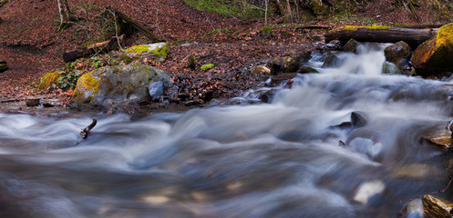 The mountain stream flows in the autumn forest among the stones and fallen leaves