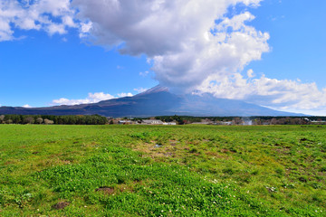 Fototapeta premium Fuji and clouds