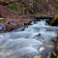 The mountain stream flows in the autumn forest among the stones and fallen leaves. Rosa Khutor Resort, Sochi, Russia.