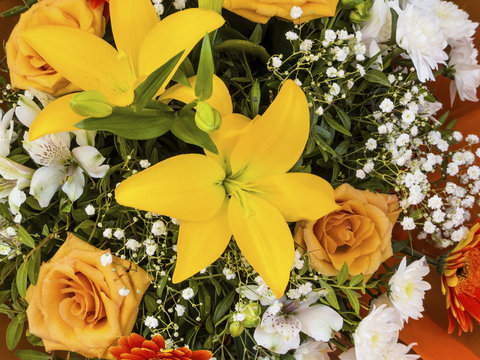 Various Cut Flowers, Background