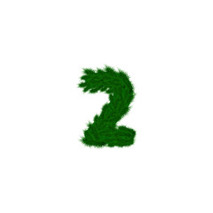 Vector numbers decorated with pine branches. Number- 2. Two.