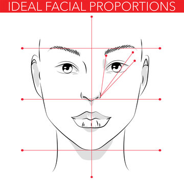 56,894 BEST Face Chart IMAGES, STOCK PHOTOS & VECTORS | Adobe Stock