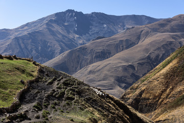 Azerbaijan, Greater Caucasus, Khinalug ( Xinaliq ): Silhouette of  shepherd with sheep flock and beautiful panoramic view over  mountains and hills in the north of Azerbaijan near Quba.