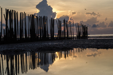 Obraz premium sunrise light on the beach with muddy wave , clay wave 