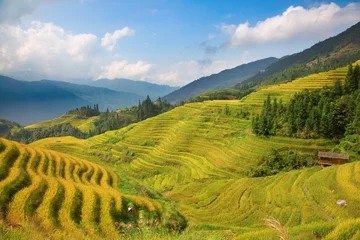Tuinposter Longji Rice Terraces © swisshippo