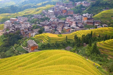 Foto auf Glas Longji Rice Terraces © swisshippo