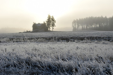 Rural frosty landscape on cold early winter morning. Field covered with hoarfrost, lonely house on background.