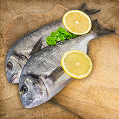 Doraden - Gilthead