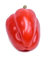 isolated red bell pepper