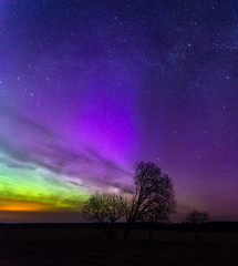 Very colorful aurora borealis in sky with trees.