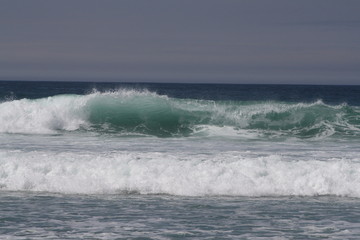 pacific ocean wave