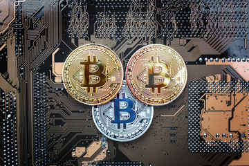 Fototapety  Coins with the image of the bitcoin sign on a computer circuit board