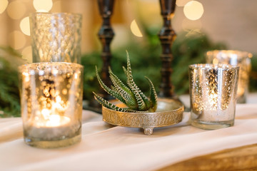 plants, decor, light concept. in marvelous silver plate with original ornament there is small green succulent, it is surrounded by transparent candle holders with flames into them