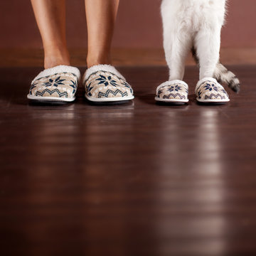 Woman and a cat in slippers