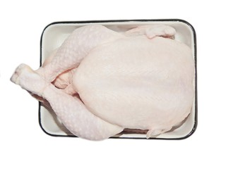 Fresh chicken on isolated white background