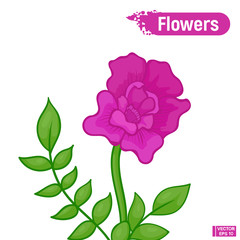 Purple abstract blooming flower.