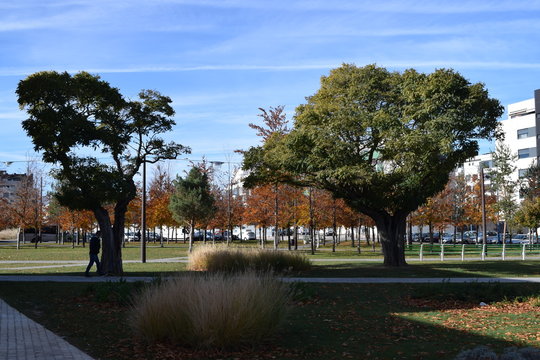 Parques oto&ntilde;ales al aire libre. 