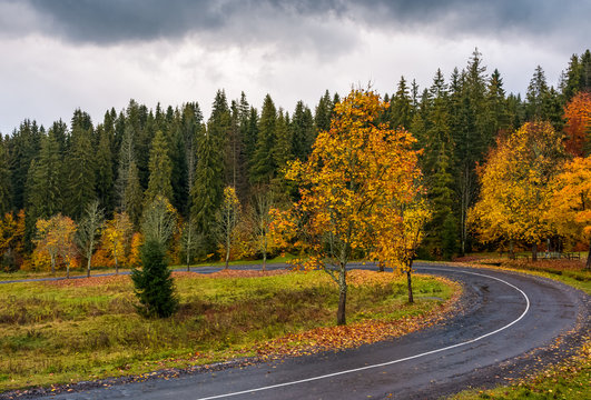 turnaround of the forest road. beautiful autumn nature scenery with cloudy sky