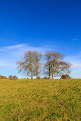 Fototapeta na wymiar Winter Sussex Landscape