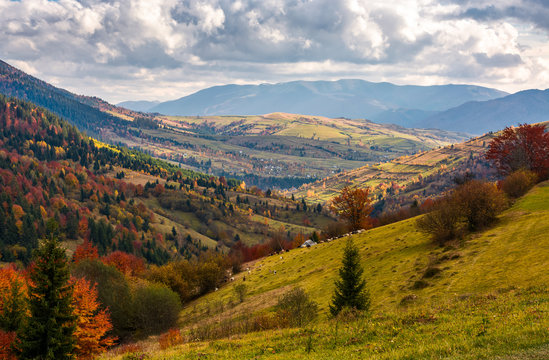 rural countryside in autumn. beautiful scenery in mountains with cloudy sky