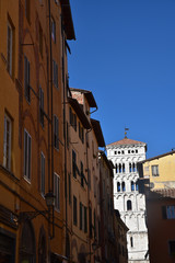 Fototapeta na wymiar Campanile de l'église San Michele à Lucca en Toscane, Italie