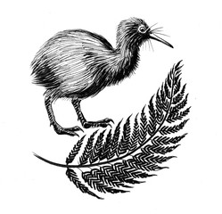 Kiwi bird and fern