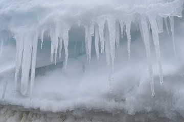 antartica